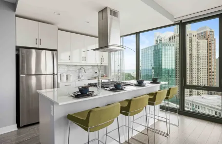 2 Bedroom South Loop Apartment