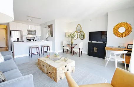 1 Bedroom South Loop Apartment