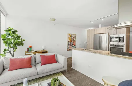 1 Bedroom Streeterville Apartment