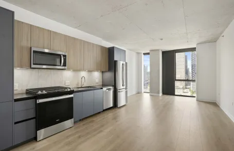 1 Bedroom South Loop Apartment