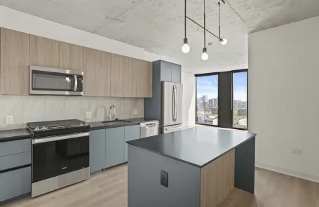 2 Bedroom South Loop Apartment