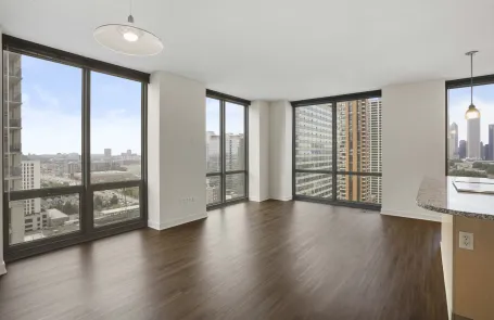 1 Bedroom South Loop Apartment