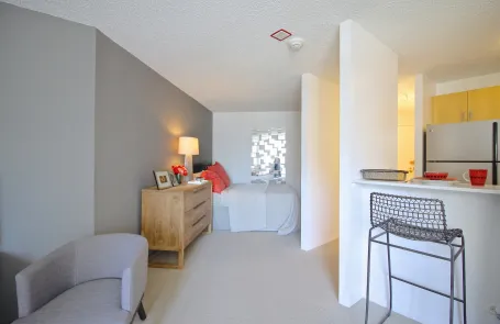 1 Bedroom River North Apartment