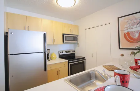 1 Bedroom River North Apartment