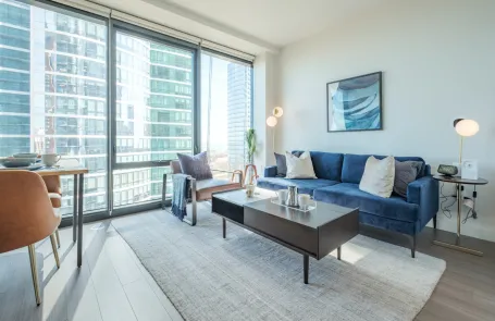 1 Bedroom South Loop Apartment