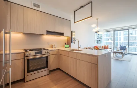 1 Bedroom South Loop Apartment