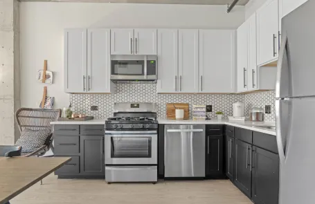 1 Bedroom South Loop Apartment