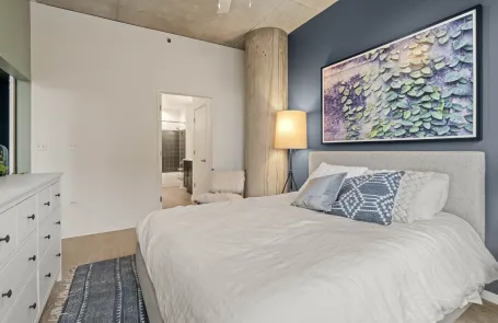1 Bedroom South Loop Apartment