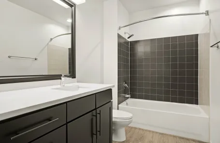 1 Bedroom South Loop Apartment