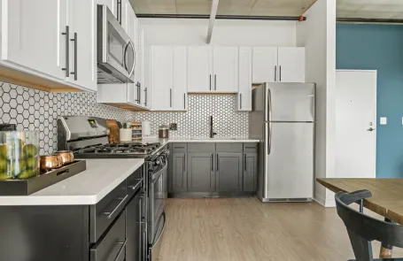 1 Bedroom South Loop Apartment