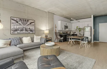 1 Bedroom South Loop Apartment
