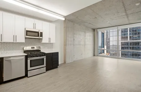 1 Bedroom South Loop Apartment