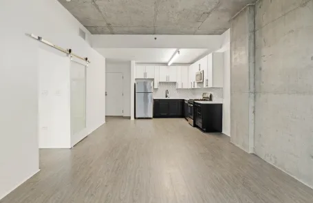 1 Bedroom South Loop Apartment