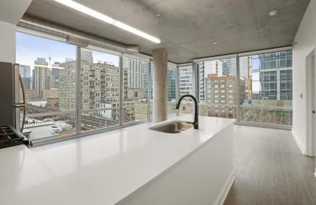 2 Bedroom South Loop Apartment