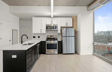 2 Bedroom South Loop Apartment
