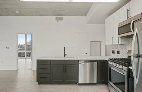 2 Bedroom South Loop Apartment