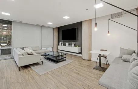 1 Bedroom South Loop Apartment