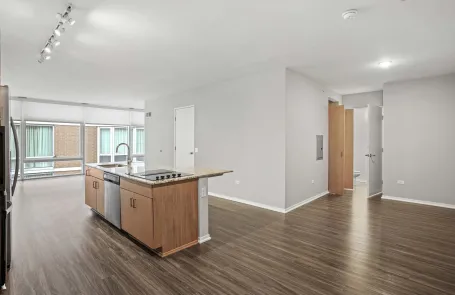 1 Bedroom Streeterville Apartment