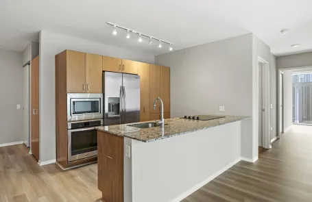 2 Bedroom Streeterville Apartment