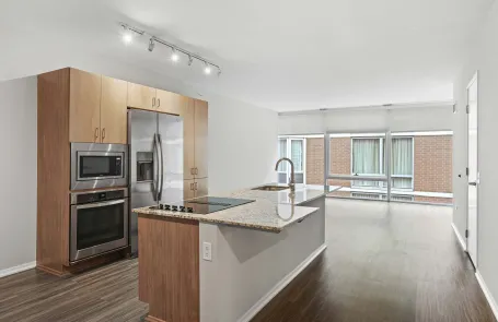 2 Bedroom Streeterville Apartment
