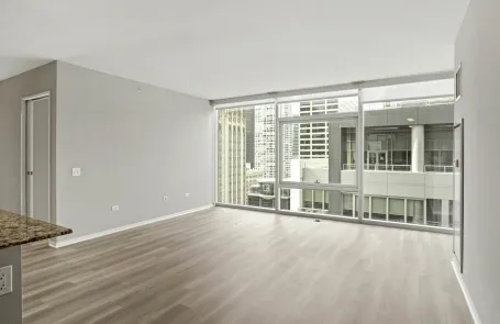 3 Bedroom Streeterville Apartment