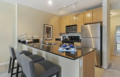 1 Bedroom Fulton Market Apartment