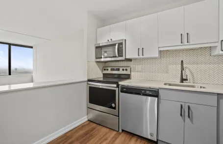 1 Bedroom South Loop Apartment