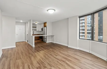 2 Bedroom South Loop Apartment