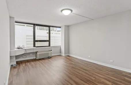 2 Bedroom South Loop Apartment