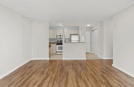 2 Bedroom South Loop Apartment