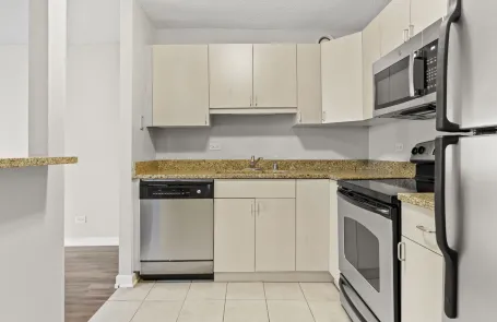 2 Bedroom South Loop Apartment