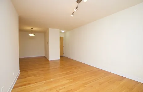 1 Bedroom Lincoln Park Apartment