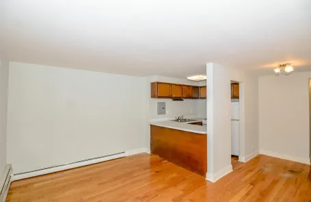 Studio Lincoln Park Apartment