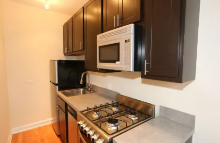 Studio Ravenswood Apartment