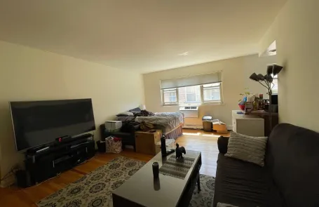 Studio Lakeview Apartment