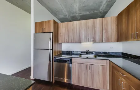 2 Bedroom Chicago Loop Apartment