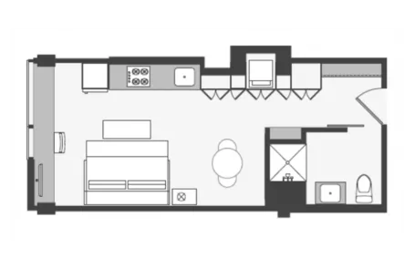 Studio Lincoln Park Apartment