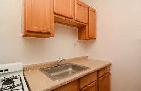 Studio Ravenswood Apartment
