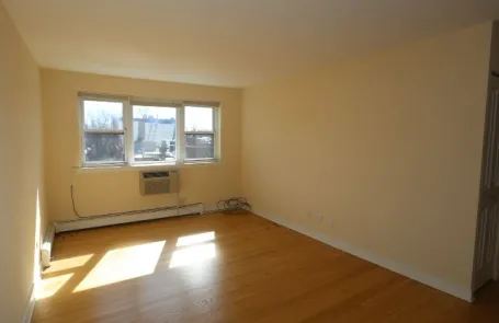 1 Bedroom Lincoln Park Apartment