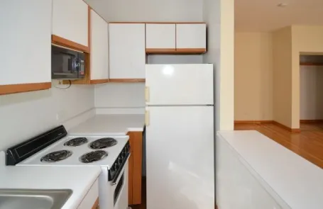 Studio Lakeview Apartment