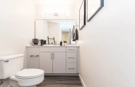 1 Bedroom Lakeshore East Apartment