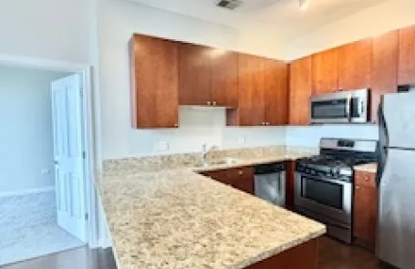 2 Bedroom South Loop Apartment