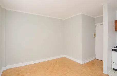 Studio Lakeview Apartment