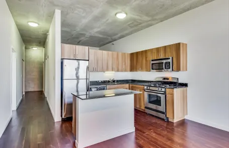 2 Bedroom Chicago Loop Apartment