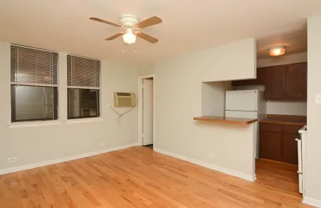 Studio Lakeview Apartment