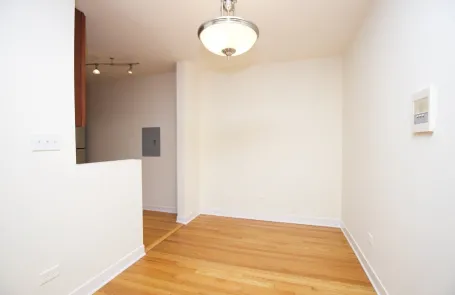 1 Bedroom Lincoln Park Apartment