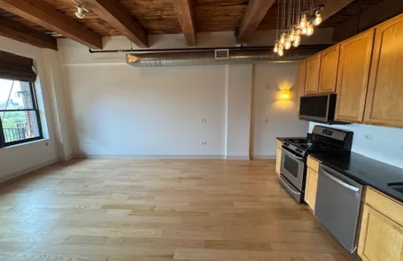 1 Bedroom South Loop Apartment