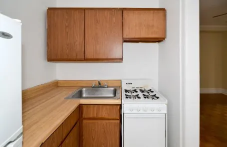 Studio Lakeview Apartment