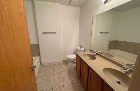 1 Bedroom South Loop Apartment