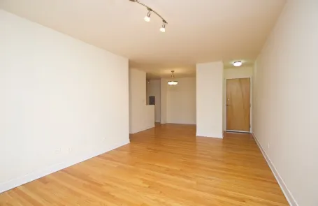 1 Bedroom Lincoln Park Apartment
